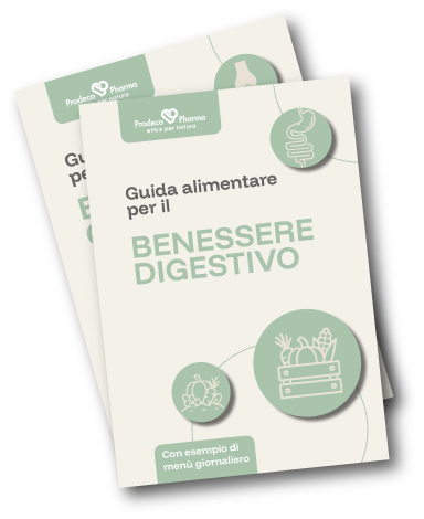 immagine guida